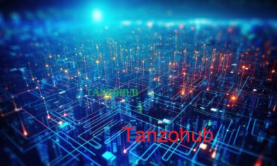 Tanzohub: Every Thing You Need To Know?